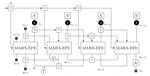 Message passing-based inference in an autoregressive active inference agent
