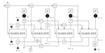 Message passing-based inference in an autoregressive active inference agent