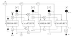Message passing-based inference in an autoregressive active inference agent